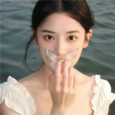 放心去飞